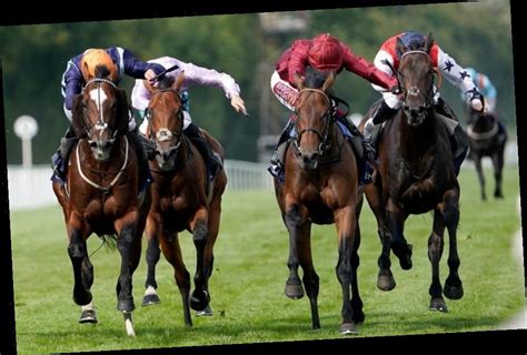 Free betting previews & race by race tips for Wednesday.